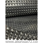 Профилированная мембрана GidroDren AX (2*10)